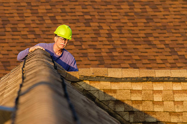 Best Roof Gutter Cleaning  in Brandywine Bay, NC